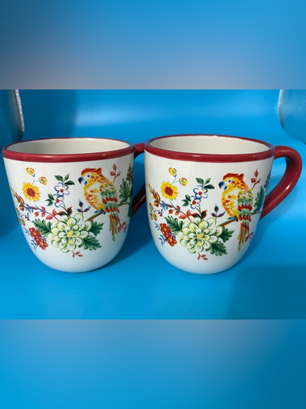 Pfaltzgraff Parade Song Floral Mug Set with Red Trim